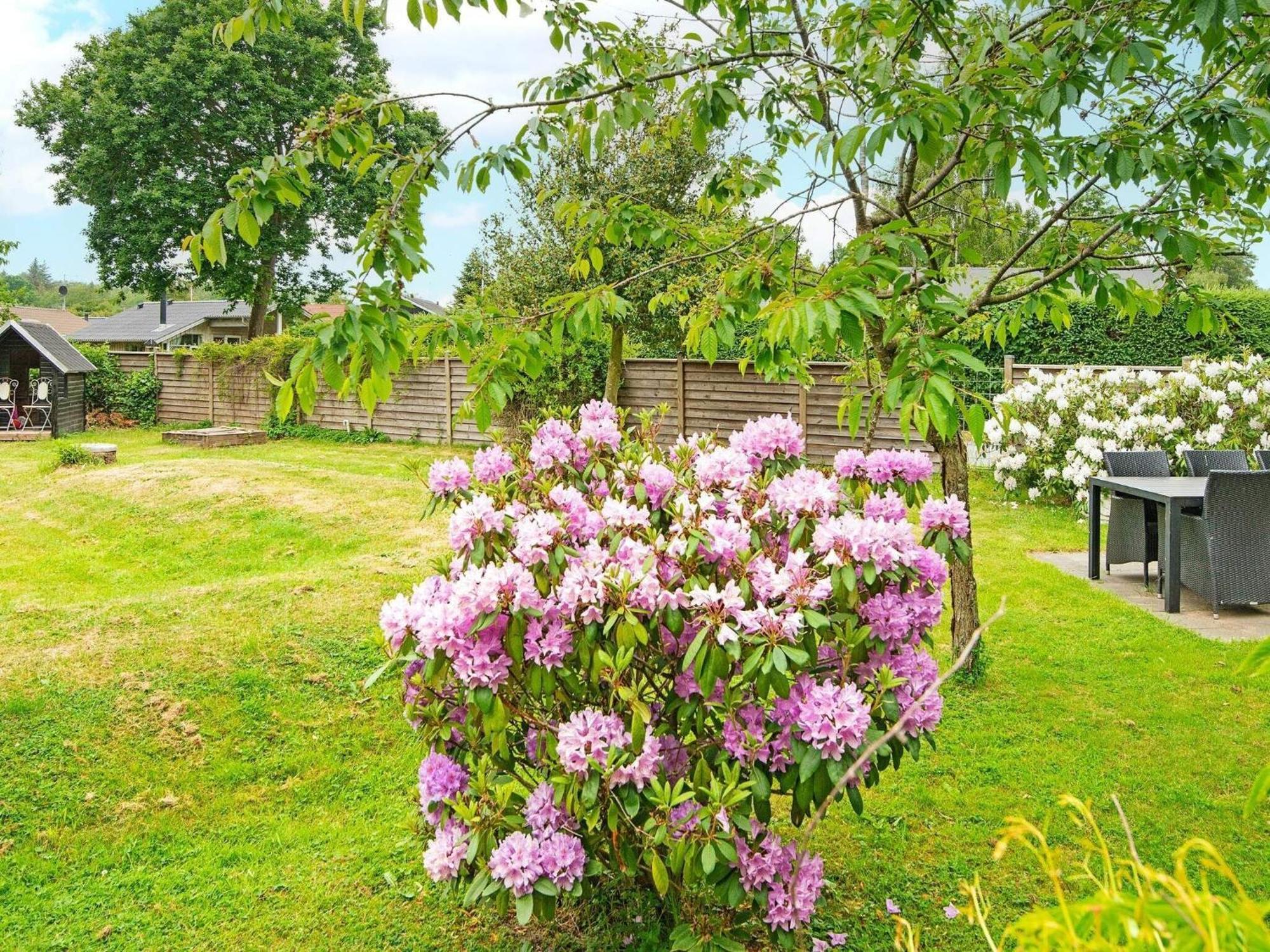 5 Person Holiday Home In B Rkop Egeskov  Εξωτερικό φωτογραφία